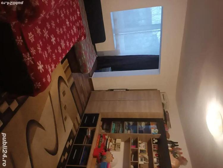 Apartament cu 2 camere centrala proprie Sagului Dambovita - 3