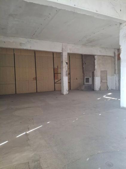 Spatii depozitare /productie Linia de Centura Leordeni-Glina - 10