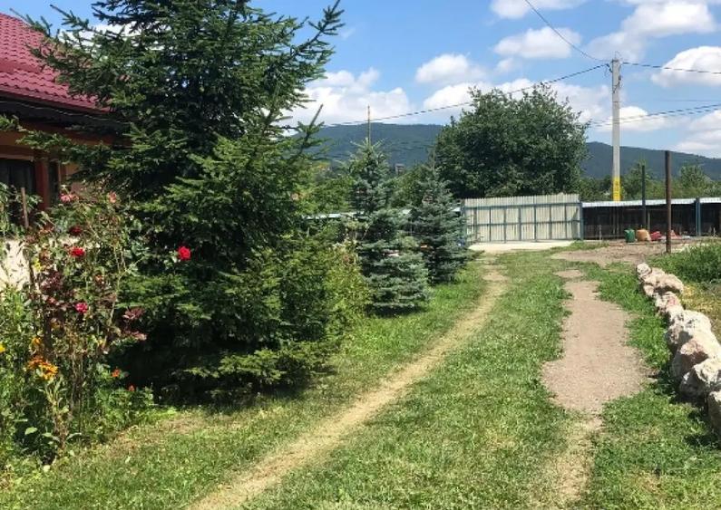 Casa moderna 215mp cu teren 2000mp si teren separat 3000mp Vaduri - 10