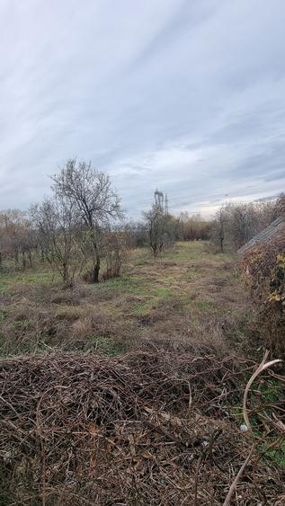 Gospodarie in com. Budesti - 2