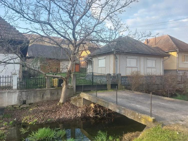 De vanzare gospodarie - 1