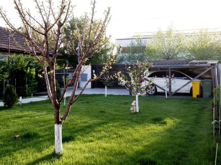 Casa de vinzare Zimnicea Teleorman - 2