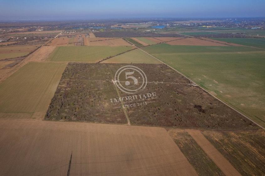 Ocazie- Teren Intravilan de Vanzare- Peris Snagov- Doar 10 euro/mp - 11