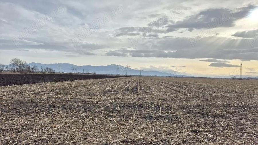 Teren intravilan cu poten?ial ridicat de dezvoltare in Bra?ov. - 7