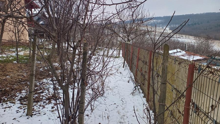 Teren 704 mp Breazu – asfalt + utilități – priveliște spre pădure – ideal casă - 9