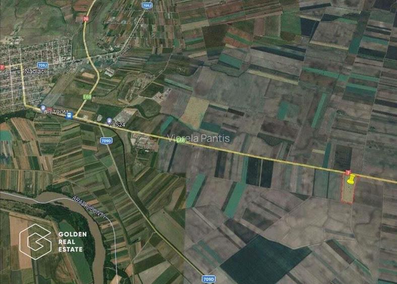 11 ha teren extravilan la DN 7 Seitin-Nandlac. Oportunitate de investitie! 11 ha teren extravilan la DN 7 Seitin-Nandlac. Oportunitate de investitie!