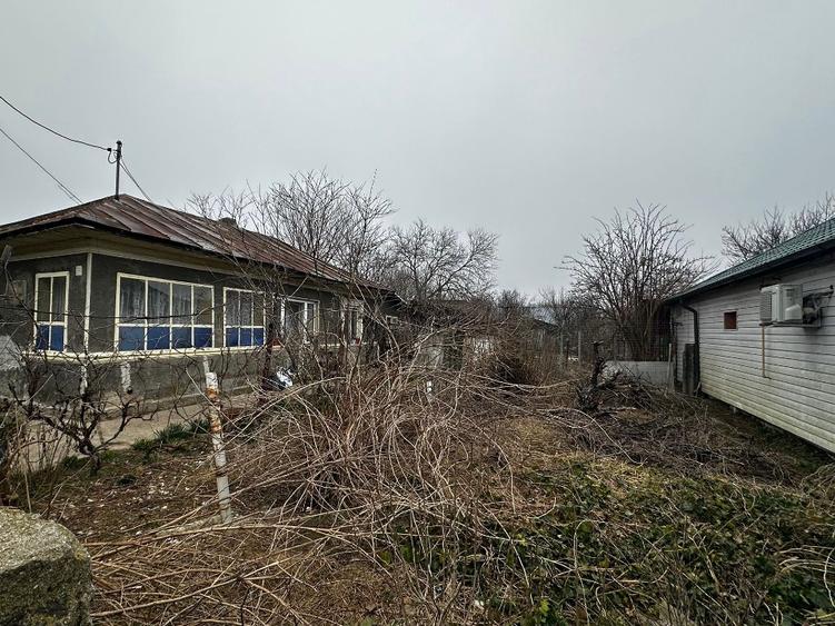 Teren intravilan Oltenita- preț negociabil - 2