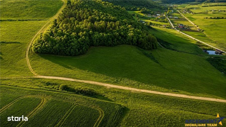 6.000 mp teren granitat de liziera compacta de padure, ecran natural d - 5