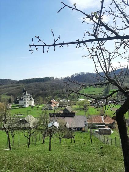 De Vanzare Casa spatioasa cu teren generos - 6