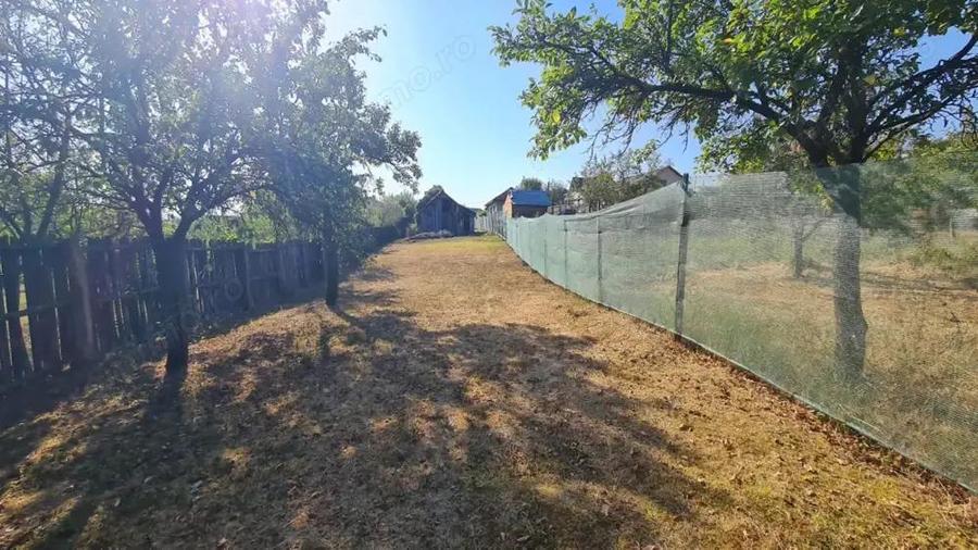 Teren Balotesti, suprafata = 908 mp - 3