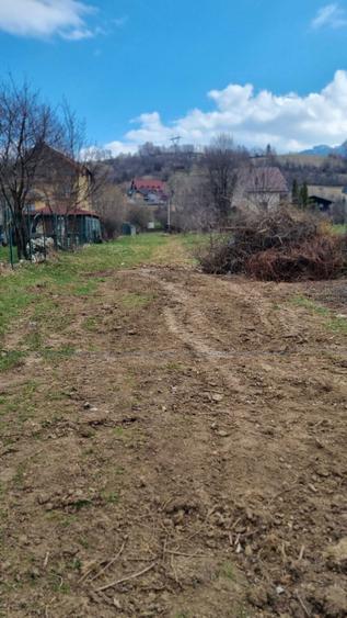 Teren de vanzare - 6