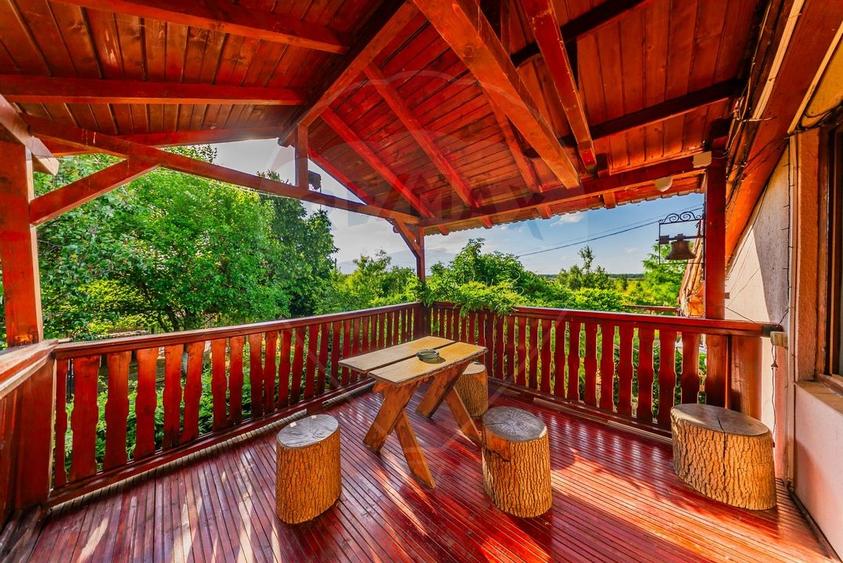 Ferma de cai andaluzi de vanzare - Zadareni - 9