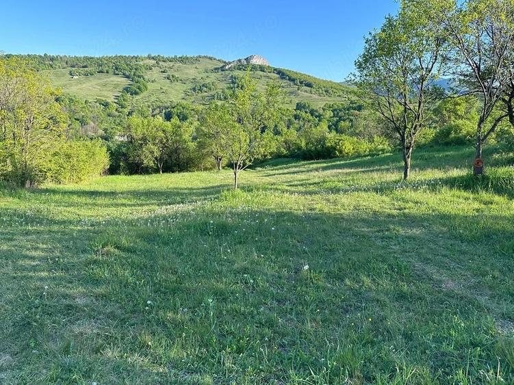 Teren de 975 mp, în Ampoița