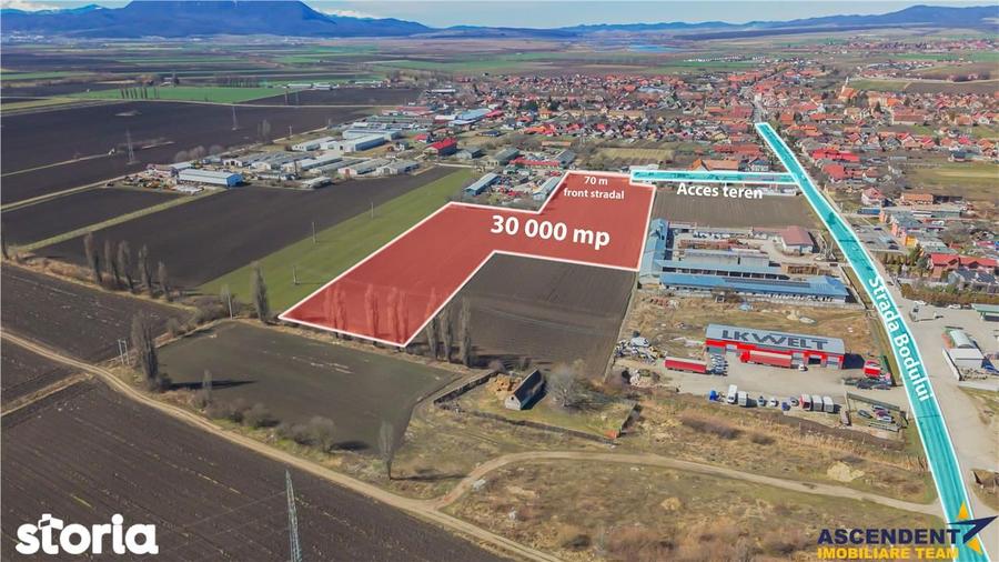 FILM! 10.000mp teren intravilan, Central, Halchiu, Brasov - 5