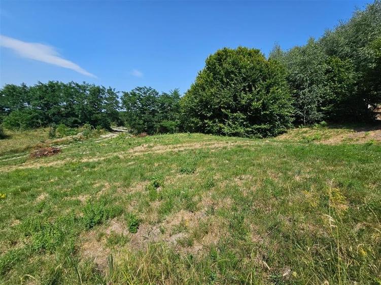 Alzza Real Estate  Teren intravilan de vanzare in Salicea, Cluj  1170 mp cu PU - 7