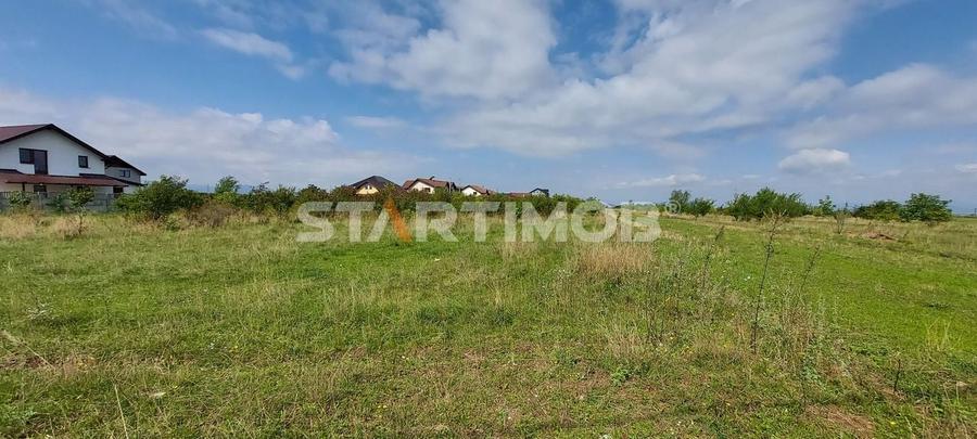 Teren Intravilan Tarlugeni - 5