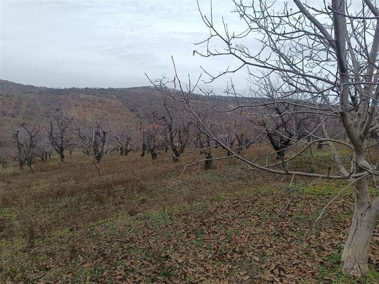 RECO Teren  in Oradea - 4