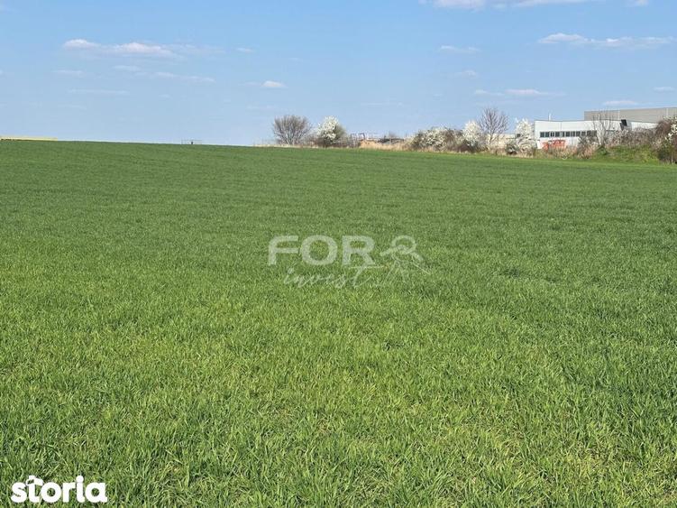 Teren intravilan de vanzare 1000 mp zona Aeroport Oradea - 2