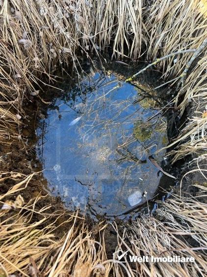 Teren extravilan in Saliste - 3