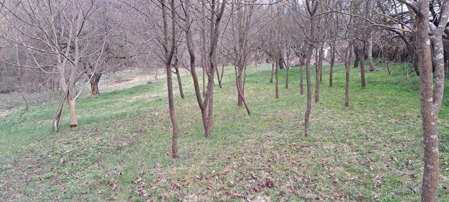 Teren in Ciurila - 3