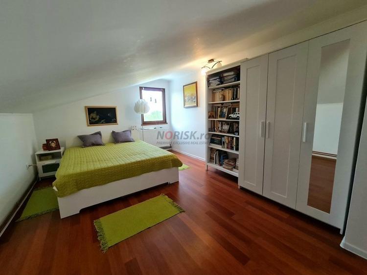 Vila + Afacere 15.000mp Clinceni - 18