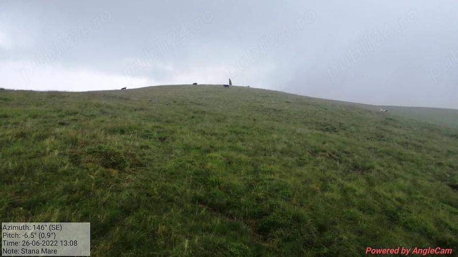 Teren pasune gol alpin, muntele Stana Mare, Gorj, 96 hectare - 1