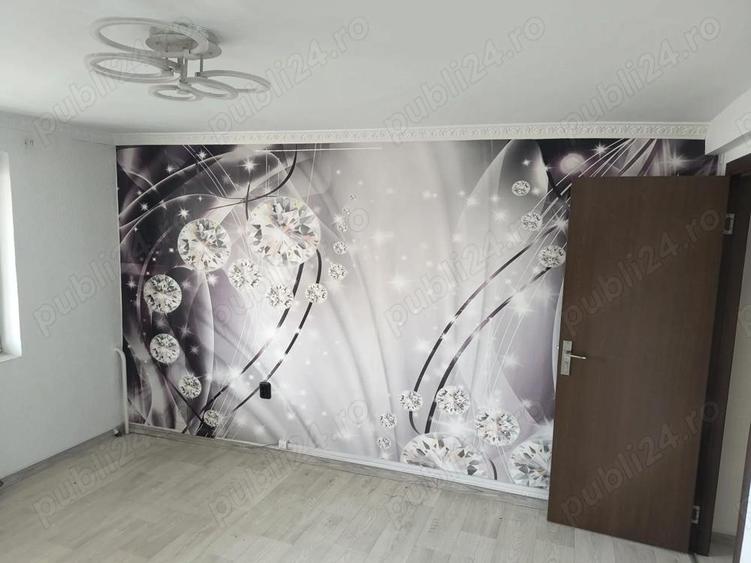 Vand vila Parcul Carol - 8