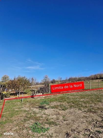 Teren intravilan 1308 mp Rediu | 9 min Copou / Pacurari - 4