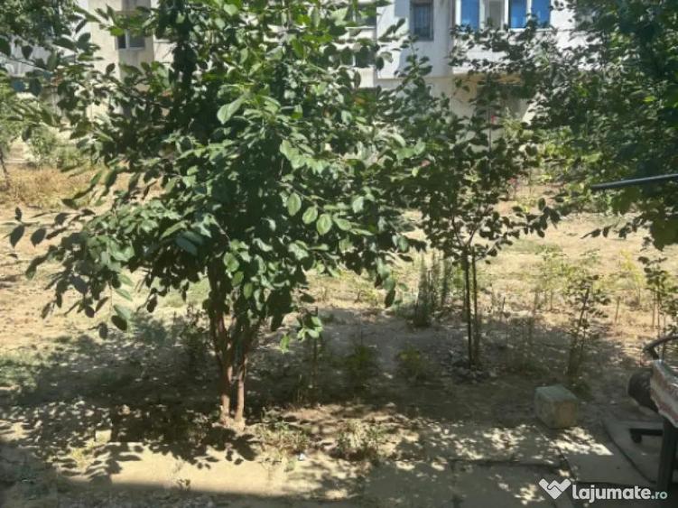 Apartament 2 camere zona Groapa - 1