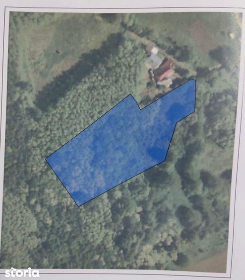 Teren intravilan de vanzare Targu Neam? | 5.400 mp | Utilita?i - 4