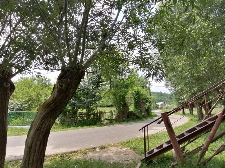 Curte 3025mp , Bughea de Jos, 5 min Valeni PH - 5