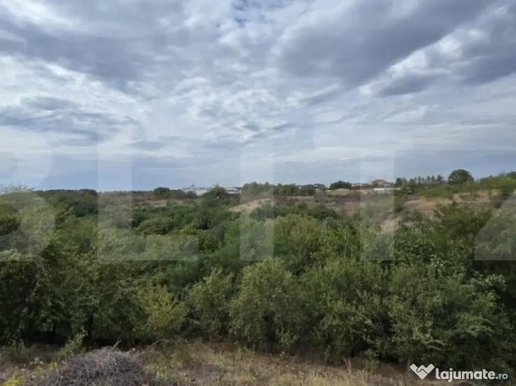 Teren 579 mp si deschidere de 14 ml, zona Carcea - 1