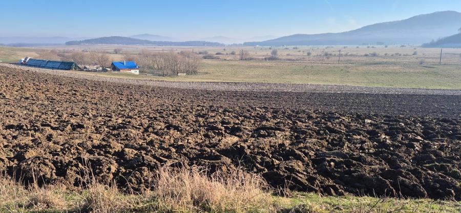 Teren extravilan intrare Bod din Sanpetru pentru investitie sau parcelare - 6