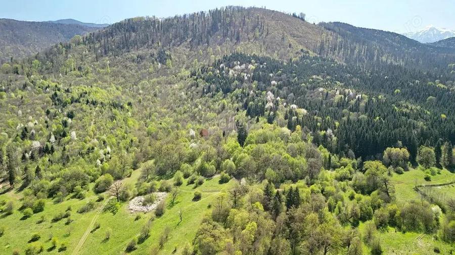 Teren Intravilan parcele 1000mp - 10