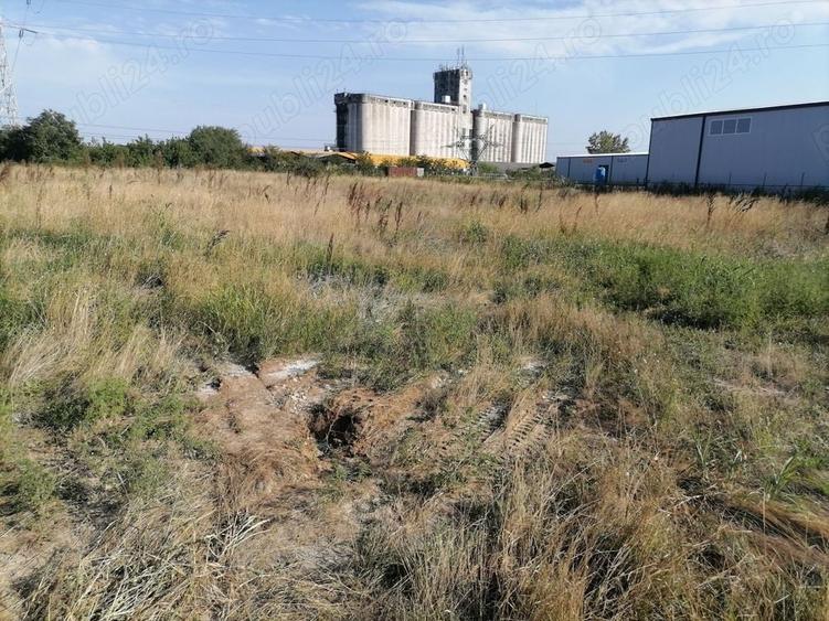 Teren de 5000 mp, în Afumați