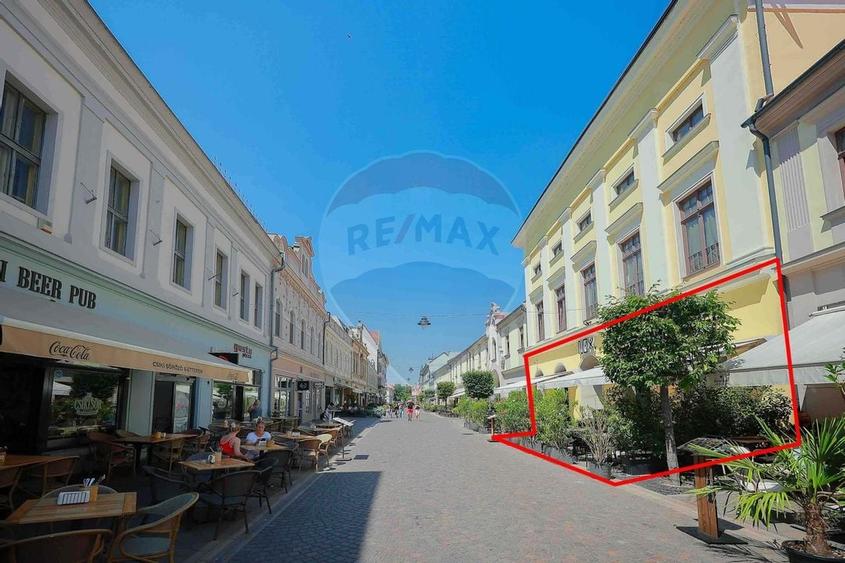 De vanzare -- Spatiu comercial parter 409 mp, Vasile Alecsandri - 57