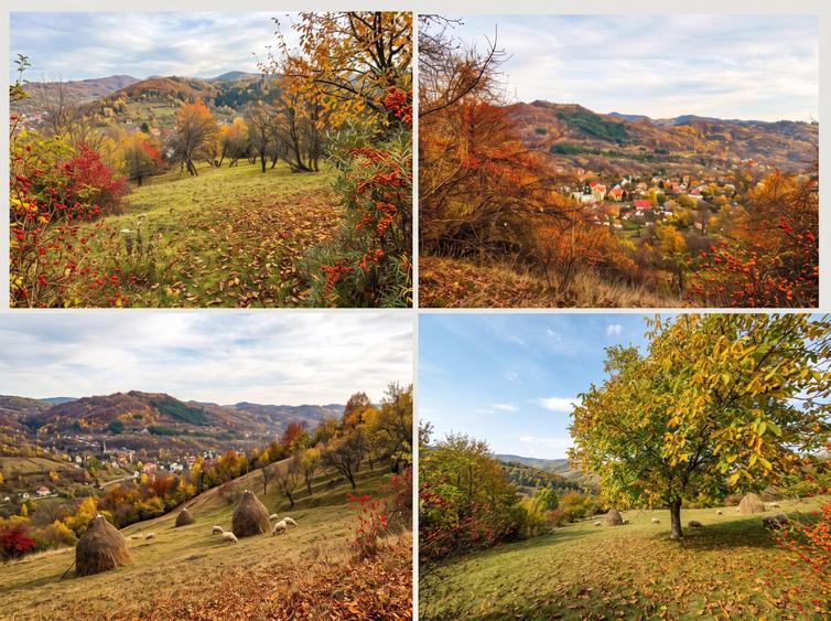 Teren Construcții intravilan de 2623 mp, în Capul Câmpului