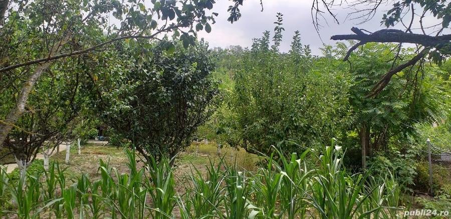 CASA cu TEREN la tara de vanzare - 7