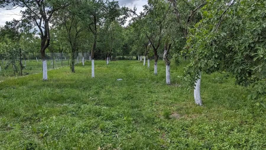 Casa cu teren de vanzare - 4