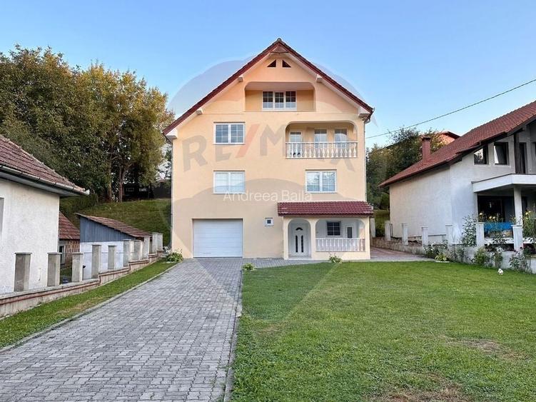 Casa de vanzare pe Str.Argintului/Cisnadie