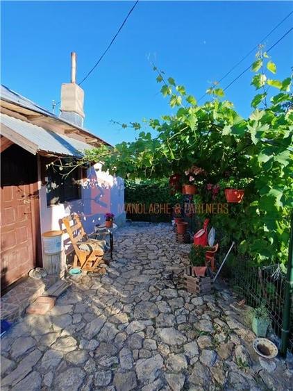 EXCLUSIVITATE! Casa+teren si cabana de lemn zona Naeni - 13