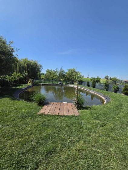 Casa de vanzare in Odoreu - 8