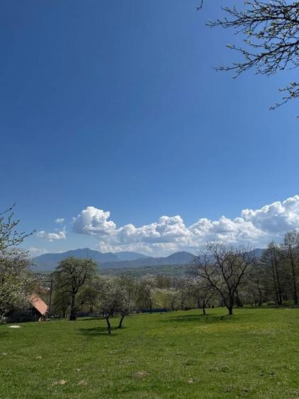Teren in Bran Predelut la poale de munte intravilan - 7