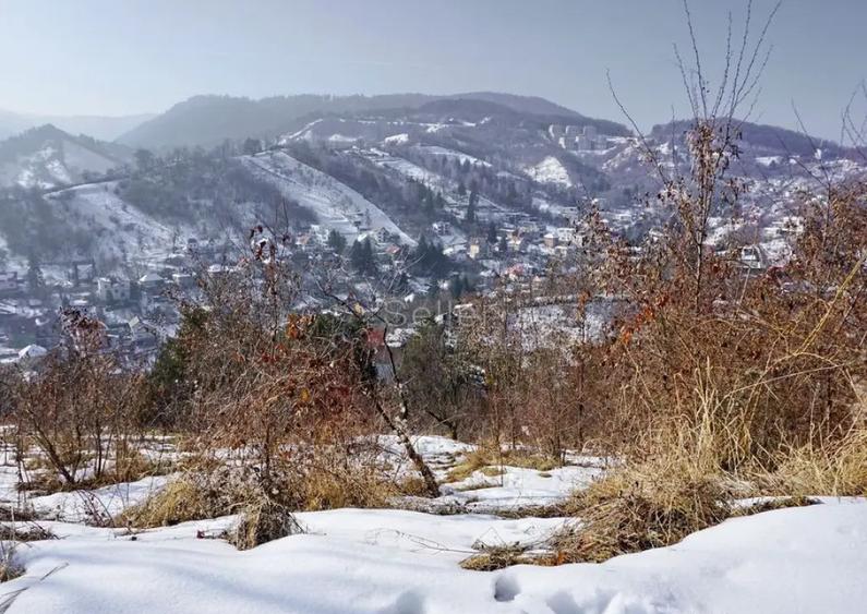 Teren Intravilan - Zona Drumul Poienii - 4