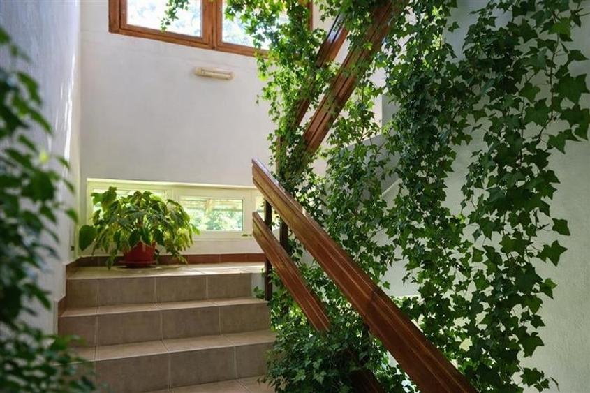 Locatie cu patru anotimpuri intr- o zi, incadrata de 2.350 teren, Bran - Fundata - 6