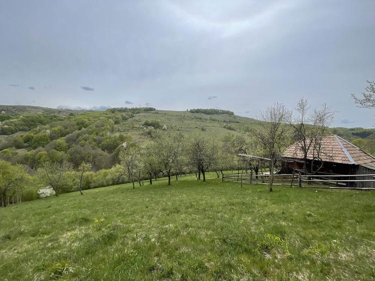 Casa ,livada si padure in com batrana jud hunedoara tinutul padurenilor - 3