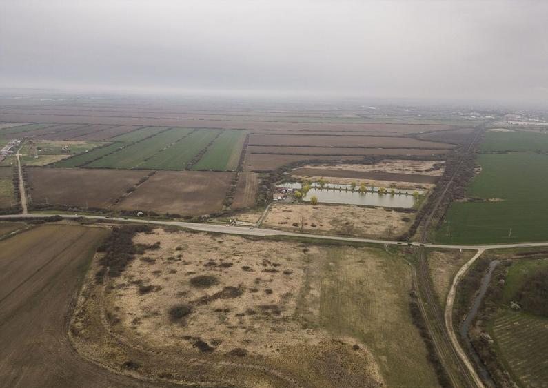 Teren extravilan in Ineu - 17