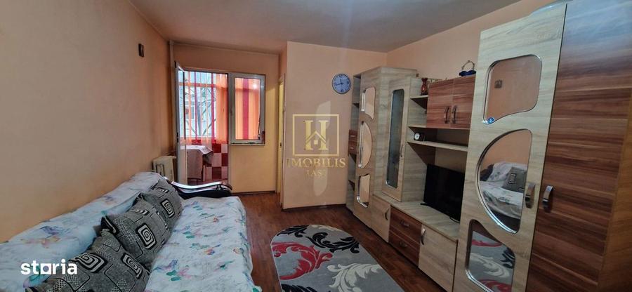 Garsoniera 24 mp Alexandru cel Bun Posta 250 euro - 3