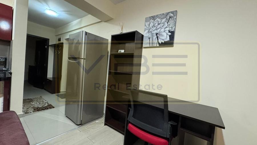 Apartament 2 camere open-space Podu Ros - 15
