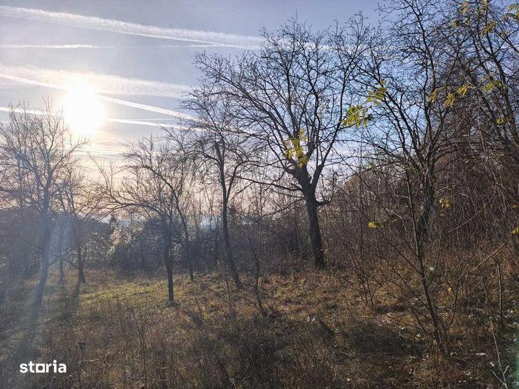Teren intravilan Breaza 4,000mp cu utilitati. Panorama. Intimitate. - 3